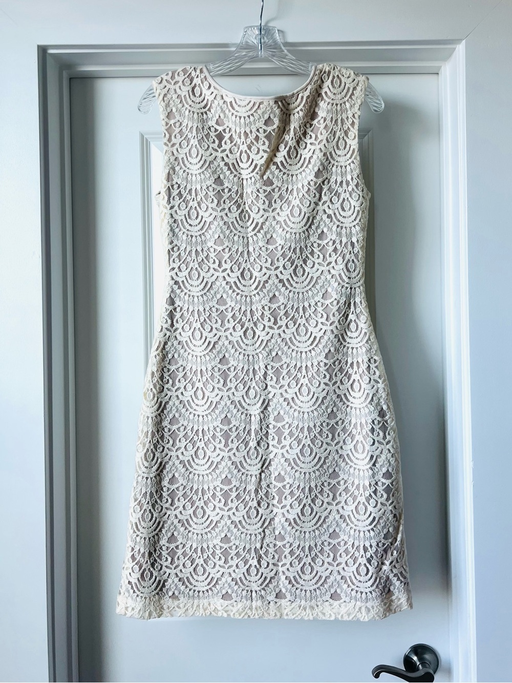 Jessica Howard Scalloped Lace Midi shift sheath Dress in Cream